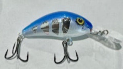 4.5 Custom Painted Hornet