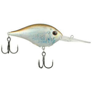 HD Blueback Herring Dime