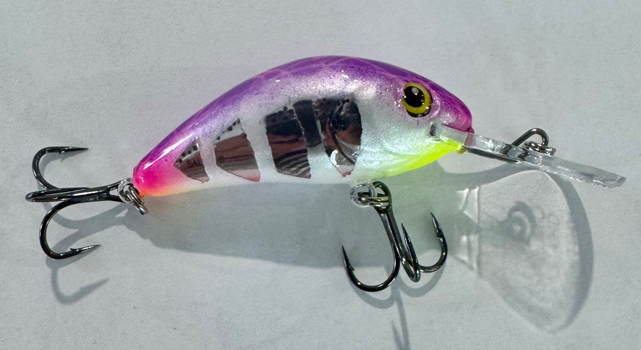 4.5 Custom Painted Hornet