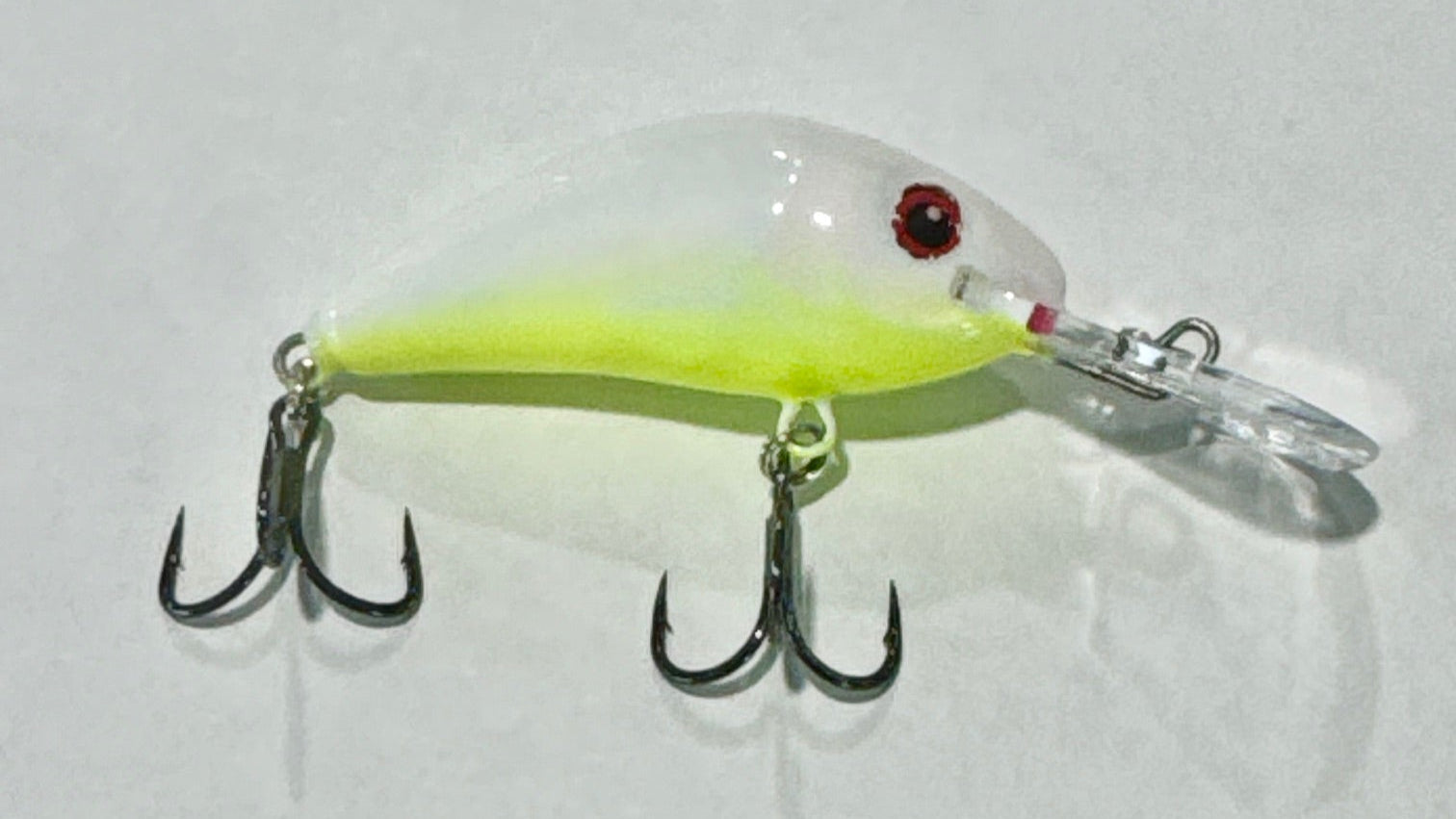 4.5 Custom Painted Hornet