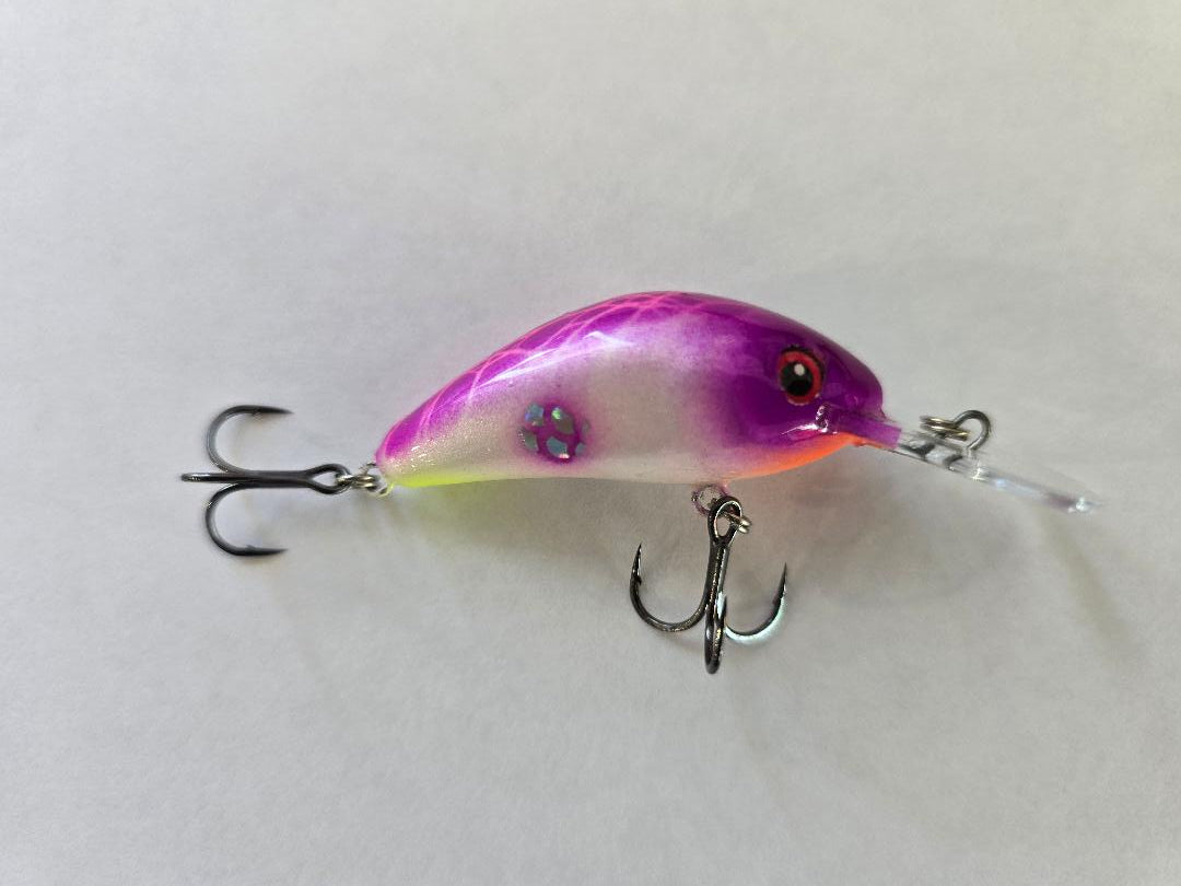 4.5 Custom Painted Hornet