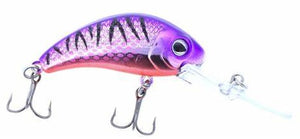 Boogie Shad McGannon Special-MS