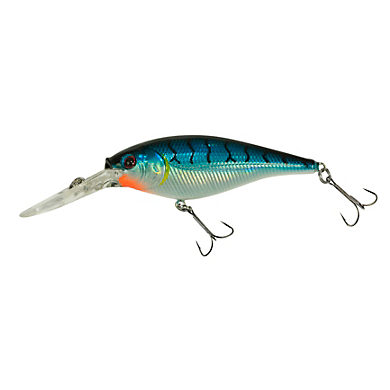 Flicker Shad Blue Tiger 1/2 oz : : Sports & Outdoors