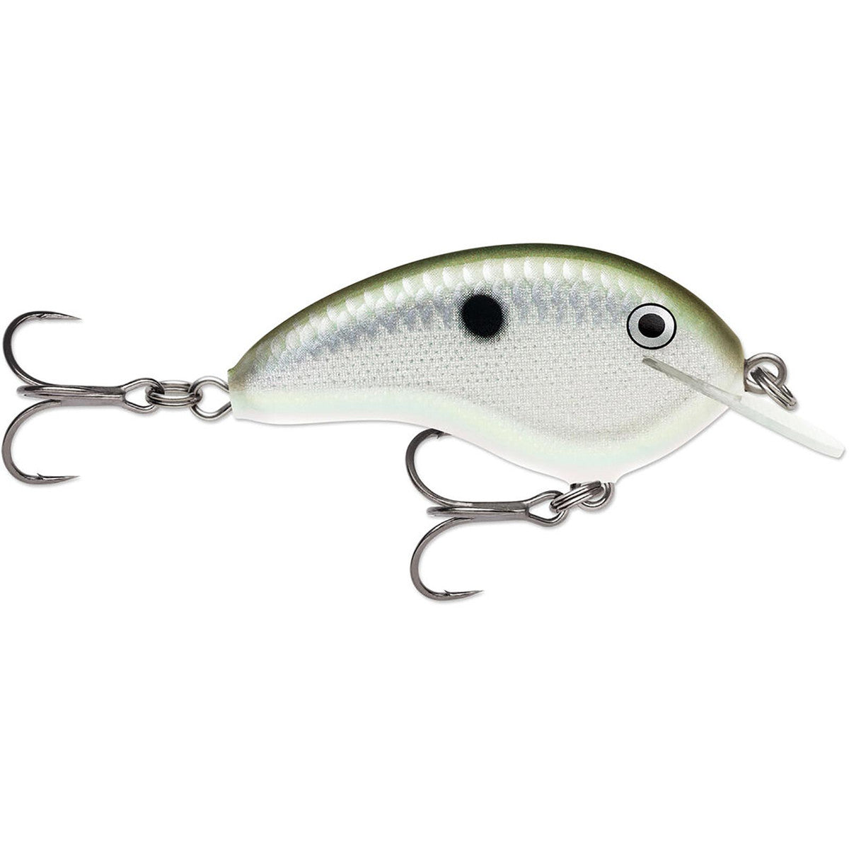 Otts Garage Tiny04 Green Gizzard Shad