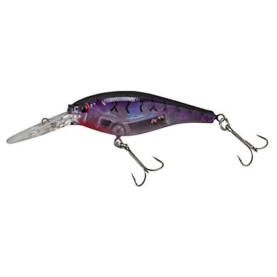 Buy Berkley Flicker Minnow Fishing Lure, Slick Purple Bengal, 1/2