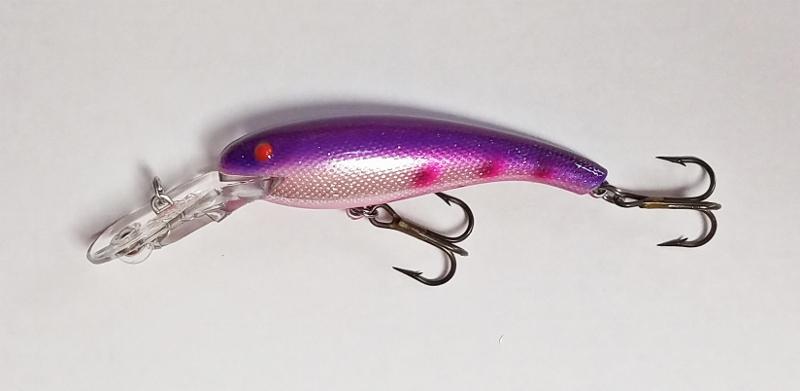 Purple Spots Wally Diver-5574
