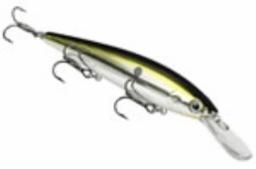 Chrome Gold Black J300D KVD Jerk Bait