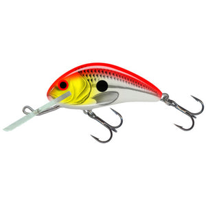 4.5 HOOPUP Rattlin Hornet