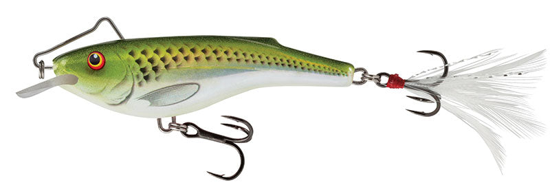 Holographic Green Shiner Rail Shad