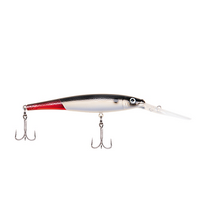 Firetail Redtail Flicker Minnow